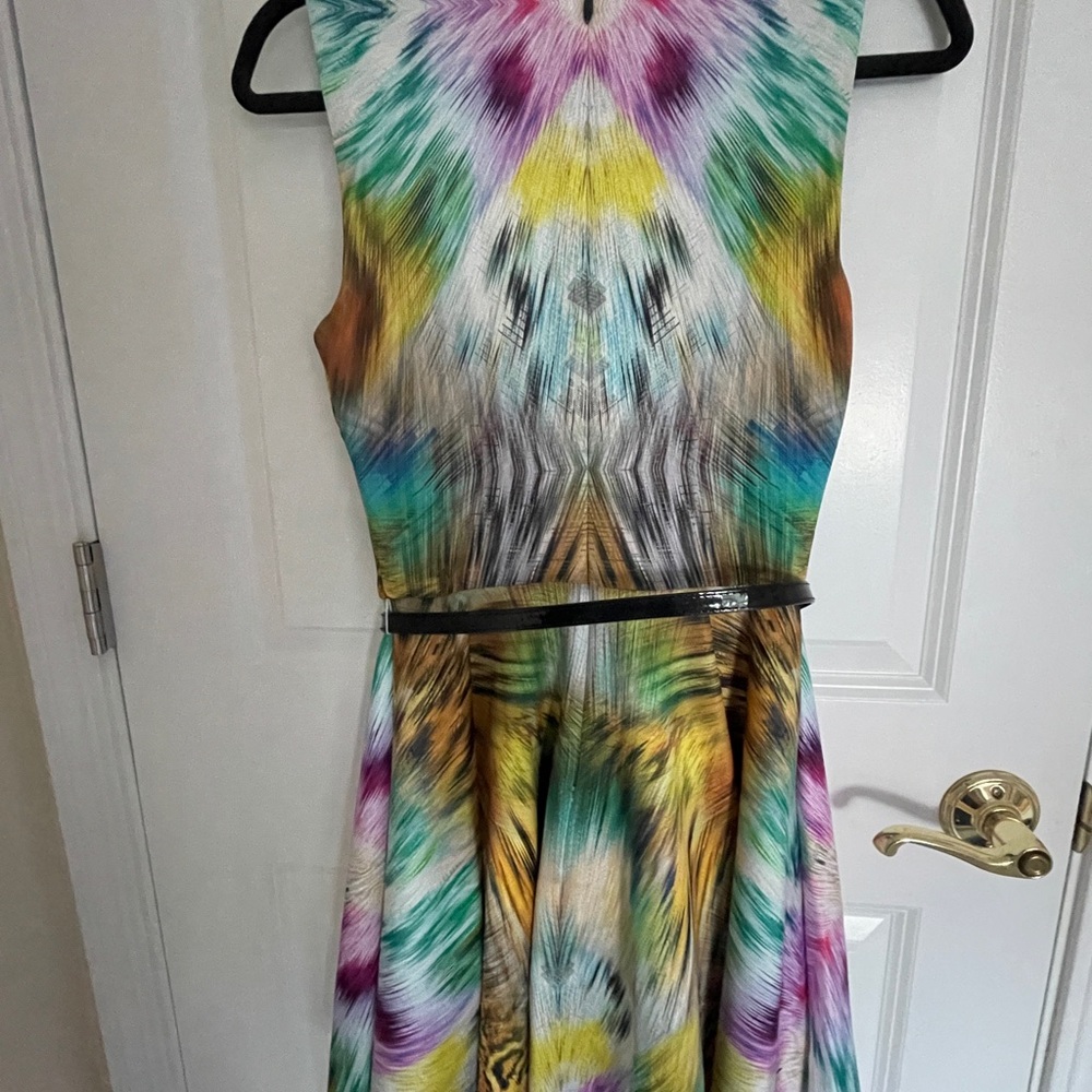 Bebe Multicolor Zigzag Dress